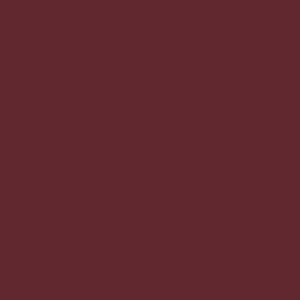 SAINT PETER - PREMIUM T-SHIRT - MAROON - N9WMBR Design