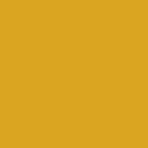 WRUNKEN - PREMIUM T-SHIRT - GOLD - J6T9HW Design