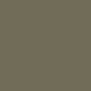 YOU WILL BE SAVED - PREMIUM T-SHIRT - MILITARY GREEN - TMN329 Design